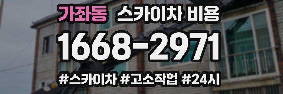 가좌동 스카이차 비용