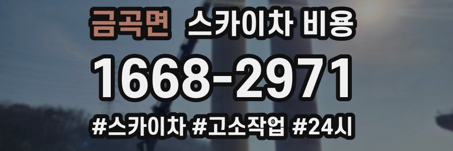 금곡면 스카이차 비용