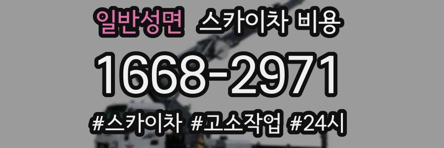 일반성면 스카이차 비용