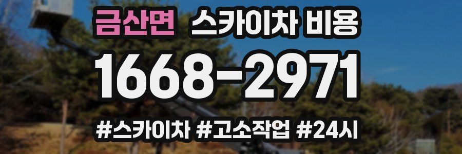 금산면 스카이차 비용