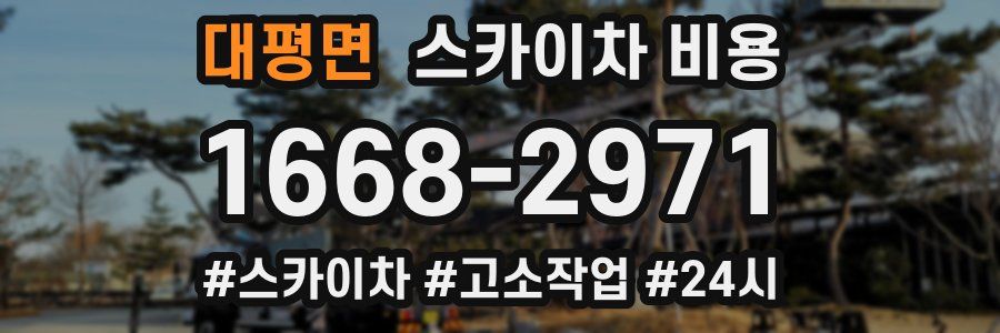 대평면 스카이차 비용