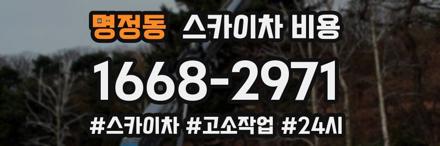 명정동 스카이차 비용