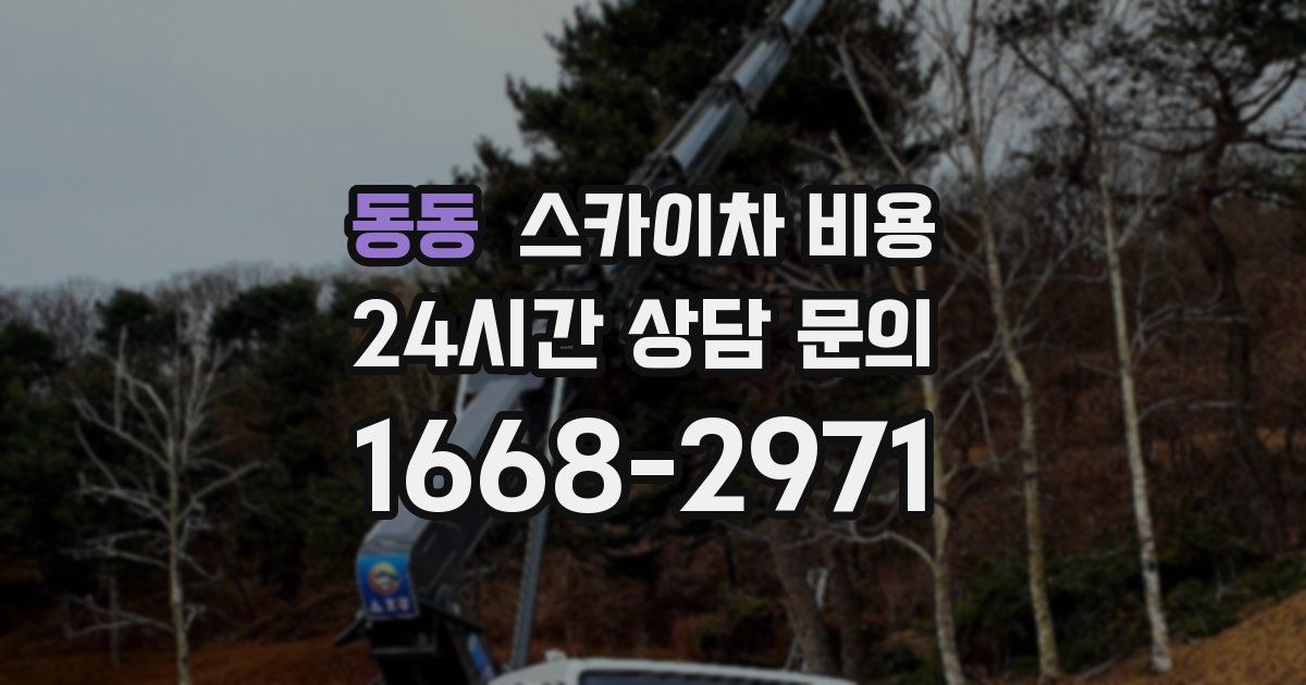 동동 스카이차 비용