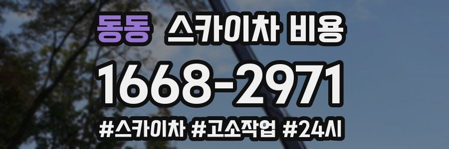 동동 스카이차 비용