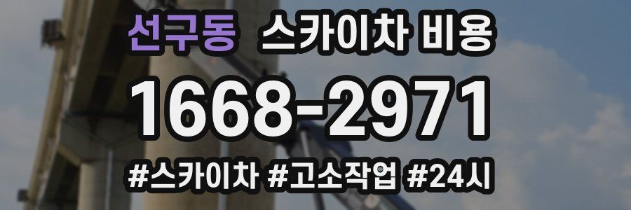 선구동 스카이차 비용