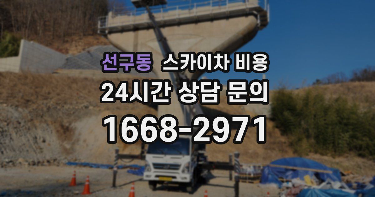 선구동 스카이차 비용