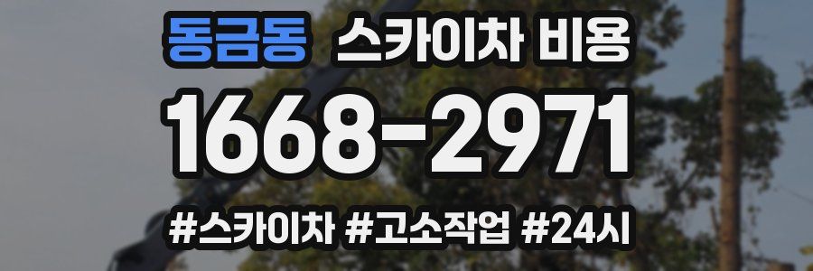 동금동 스카이차 비용