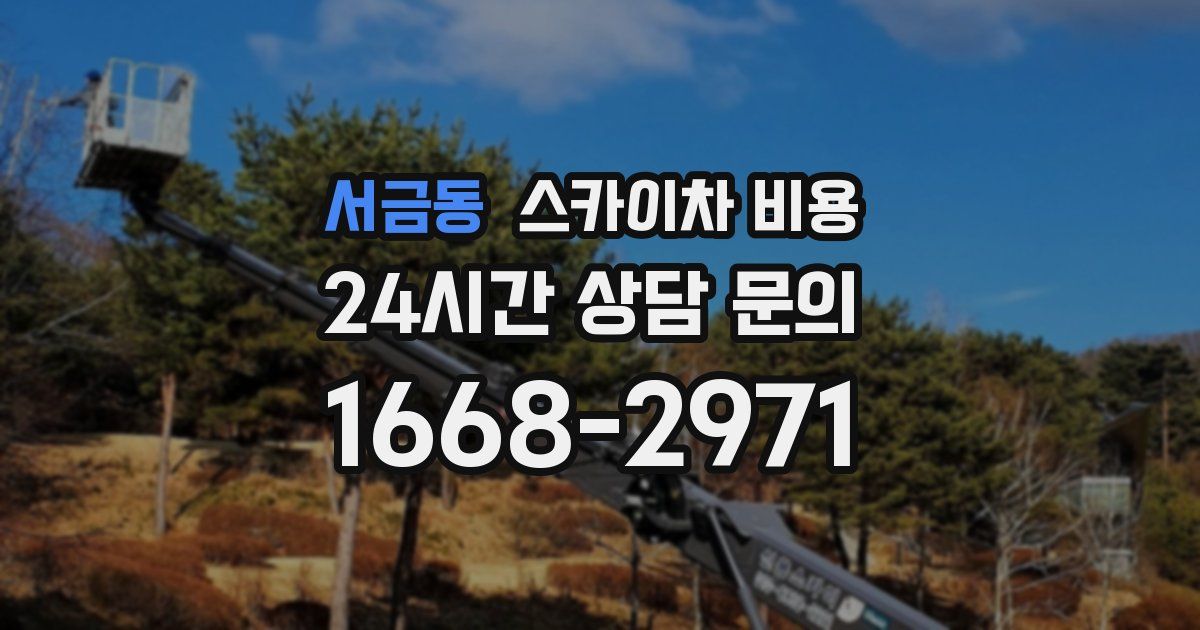 서금동 스카이차 비용