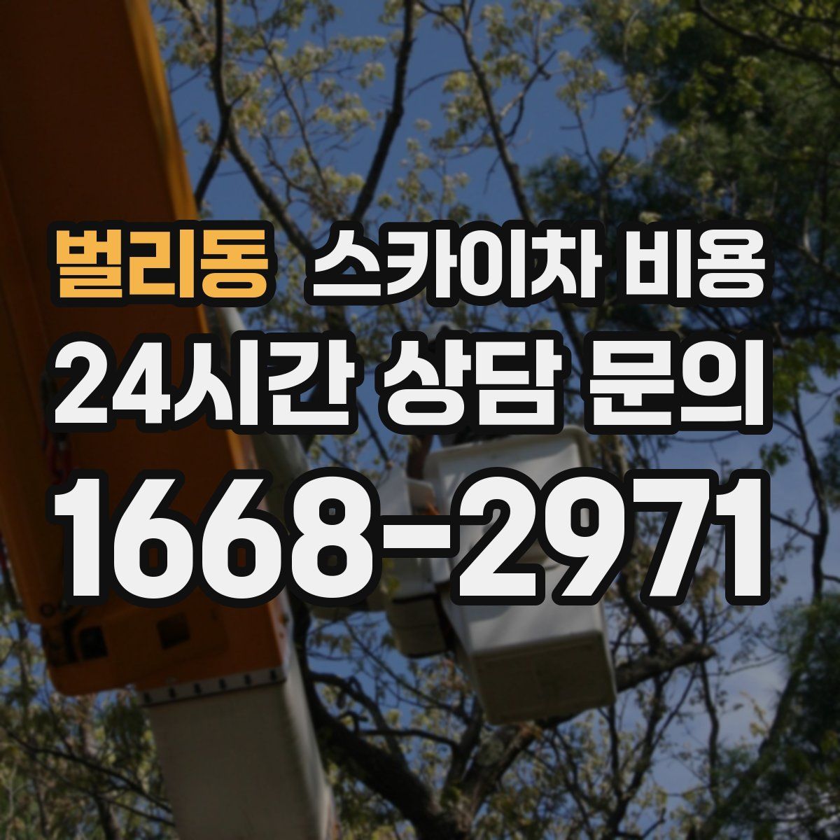 벌리동 스카이차 비용