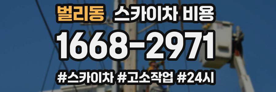 벌리동 스카이차 비용