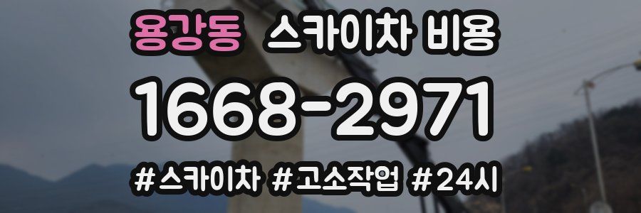 용강동 스카이차 비용