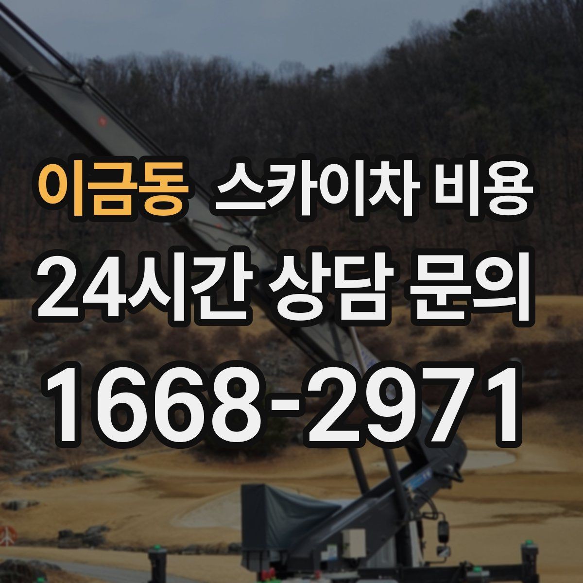 이금동 스카이차 비용 수목 전정 작업에서 확인할 항목