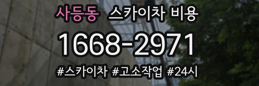 사등동 스카이차 비용