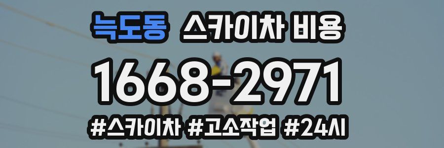 늑도동 스카이차 비용