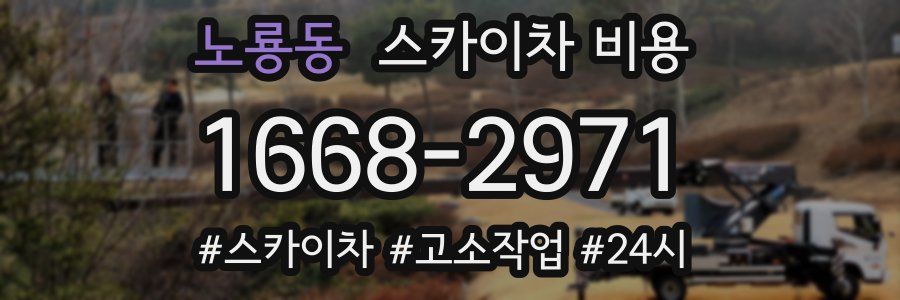 노룡동 스카이차 비용