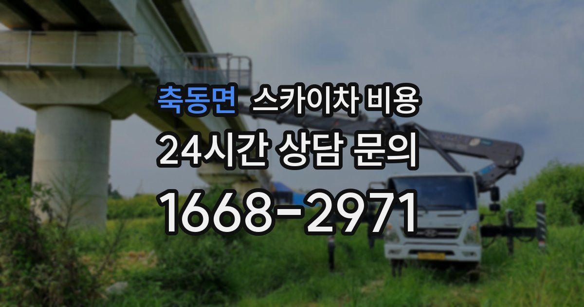 축동면 스카이차 비용