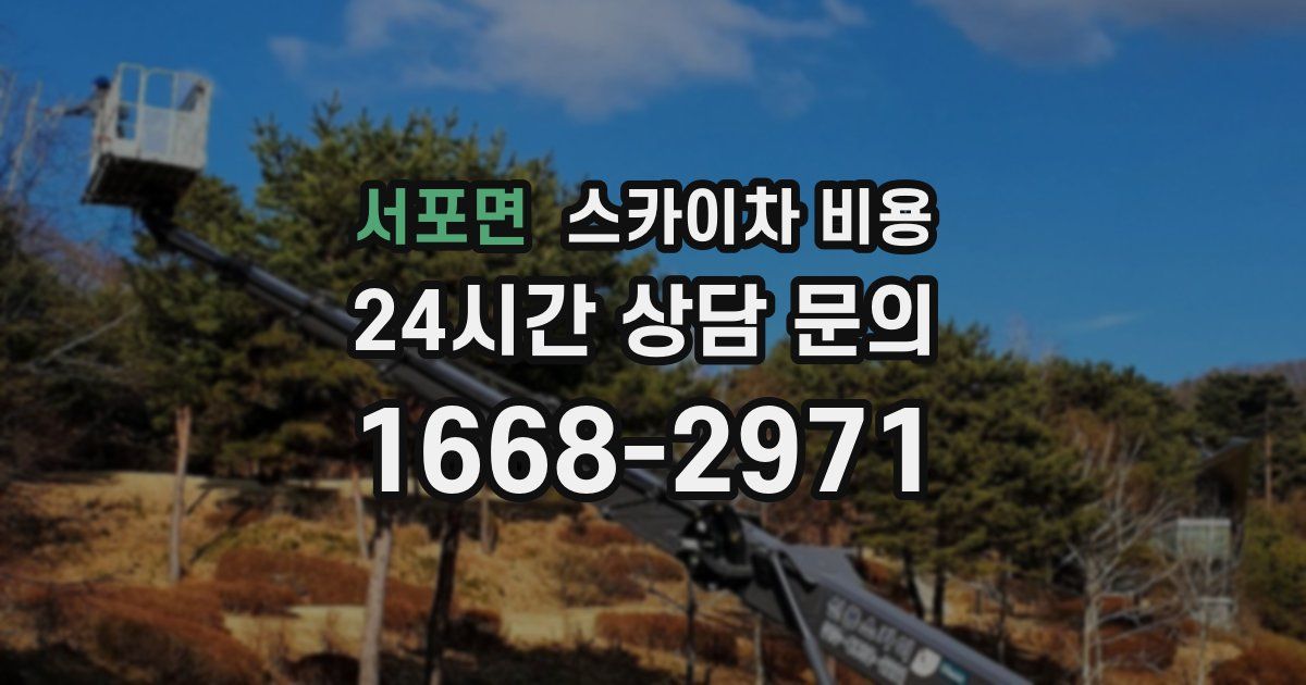 서포면 스카이차 비용