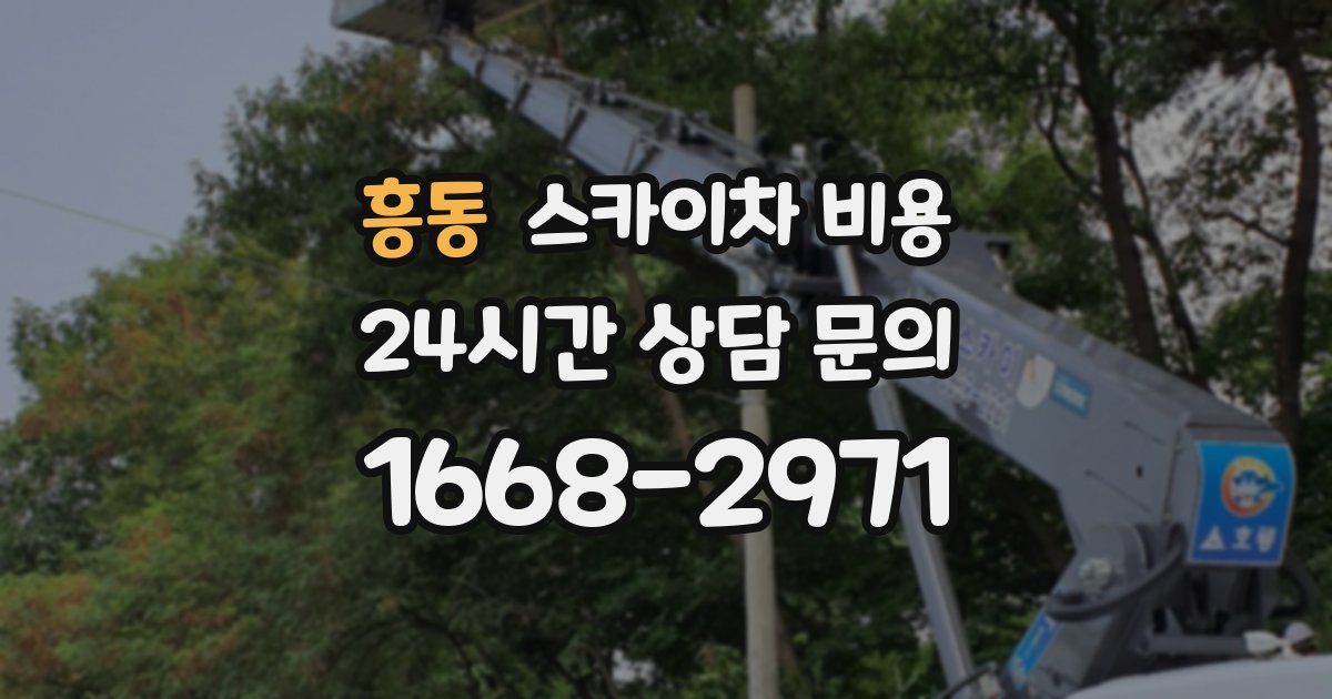 흥동 스카이차 비용