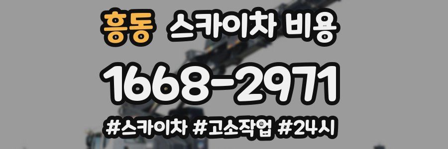흥동 스카이차 비용