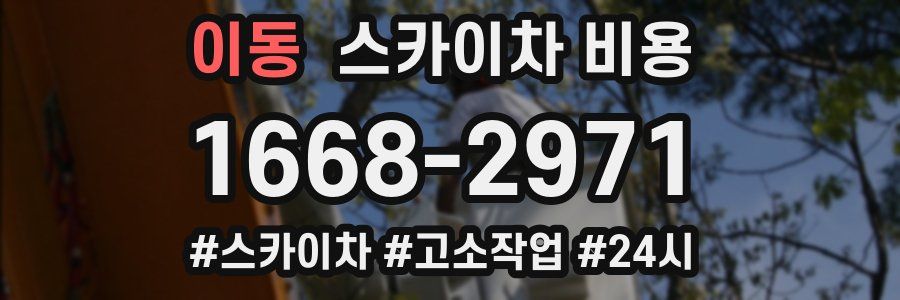 이동 스카이차 비용