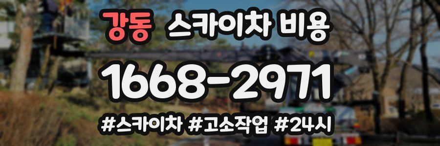 강동 스카이차 비용