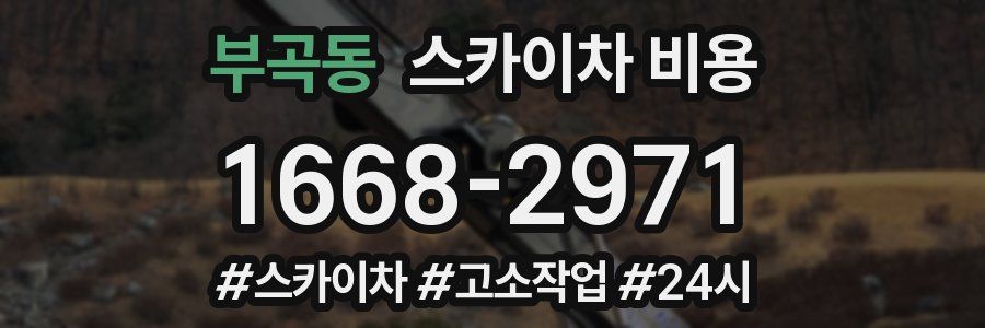 부곡동 스카이차 비용