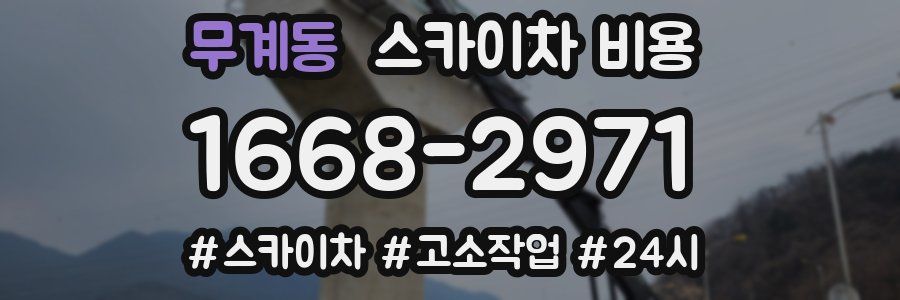 무계동 스카이차 비용