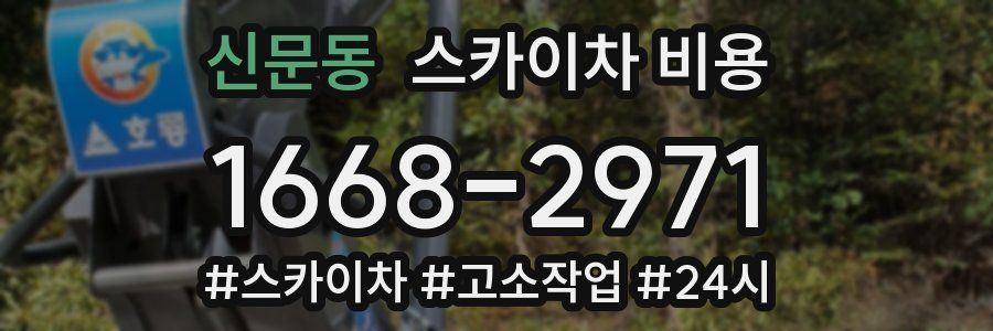 신문동 스카이차 비용