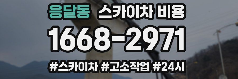 응달동 스카이차 비용