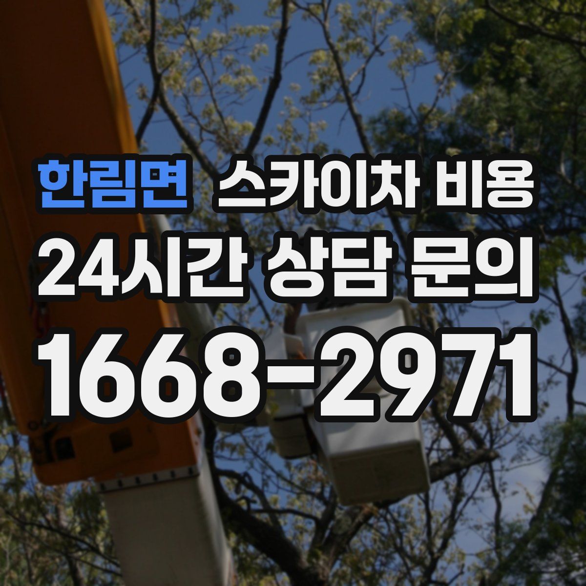 한림면 스카이차 비용