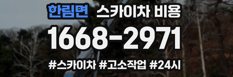 한림면 스카이차 비용