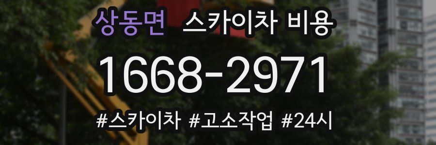 상동면 스카이차 비용