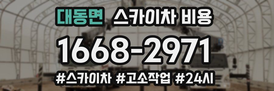 대동면 스카이차 비용