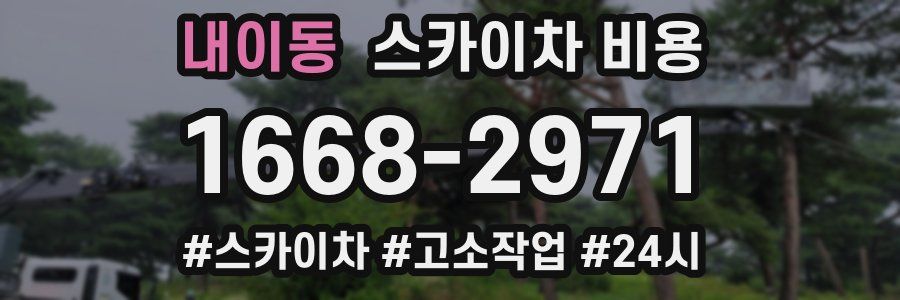 내이동 스카이차 비용