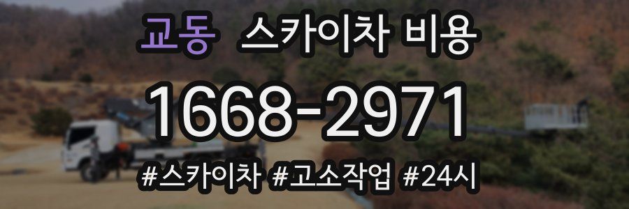 교동 스카이차 비용