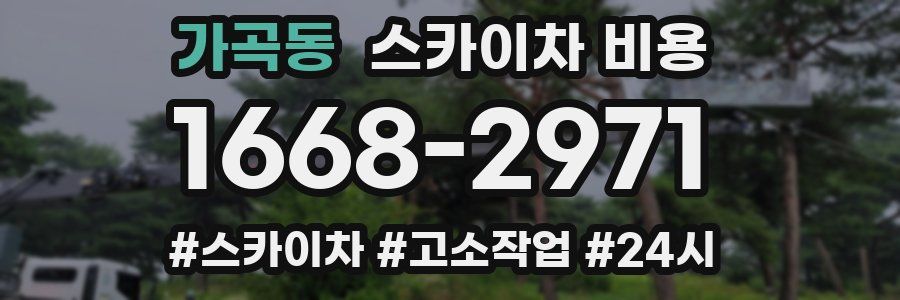 가곡동 스카이차 비용