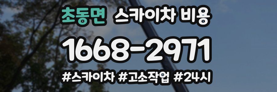 초동면 스카이차 비용