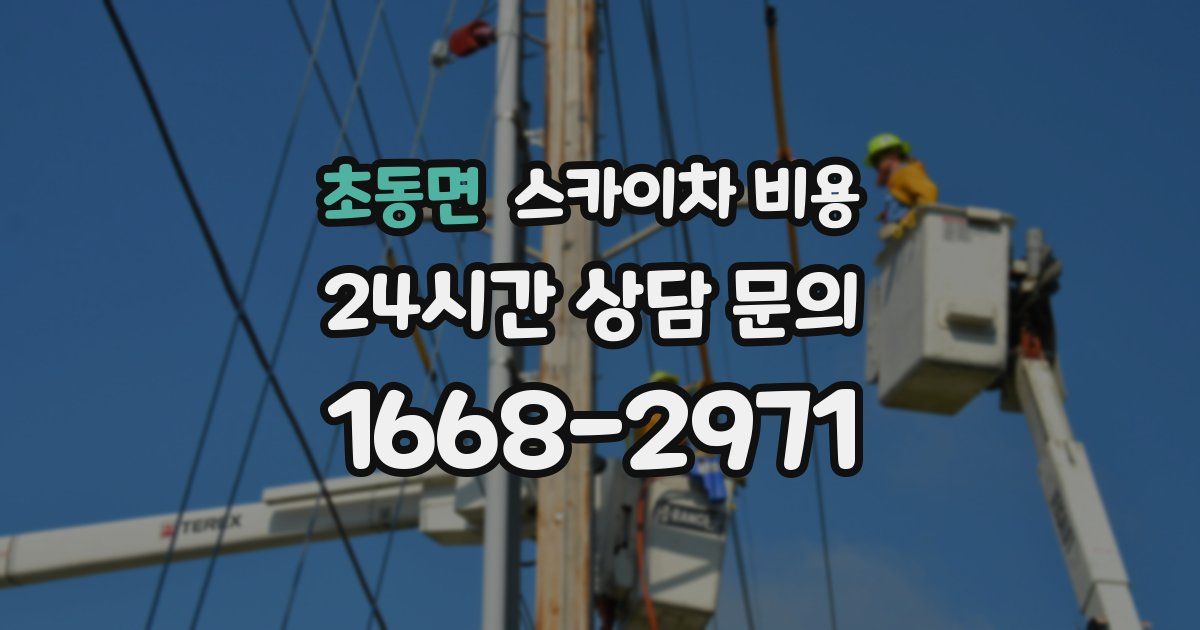 초동면 스카이차 비용