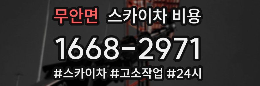 무안면 스카이차 비용