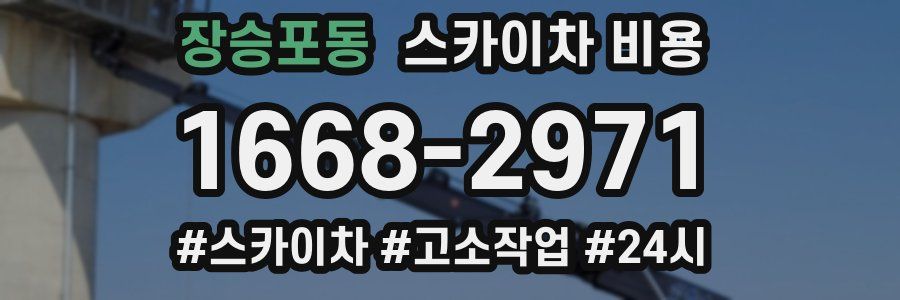 장승포동 스카이차 비용