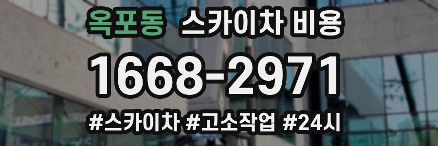 옥포동 스카이차 비용