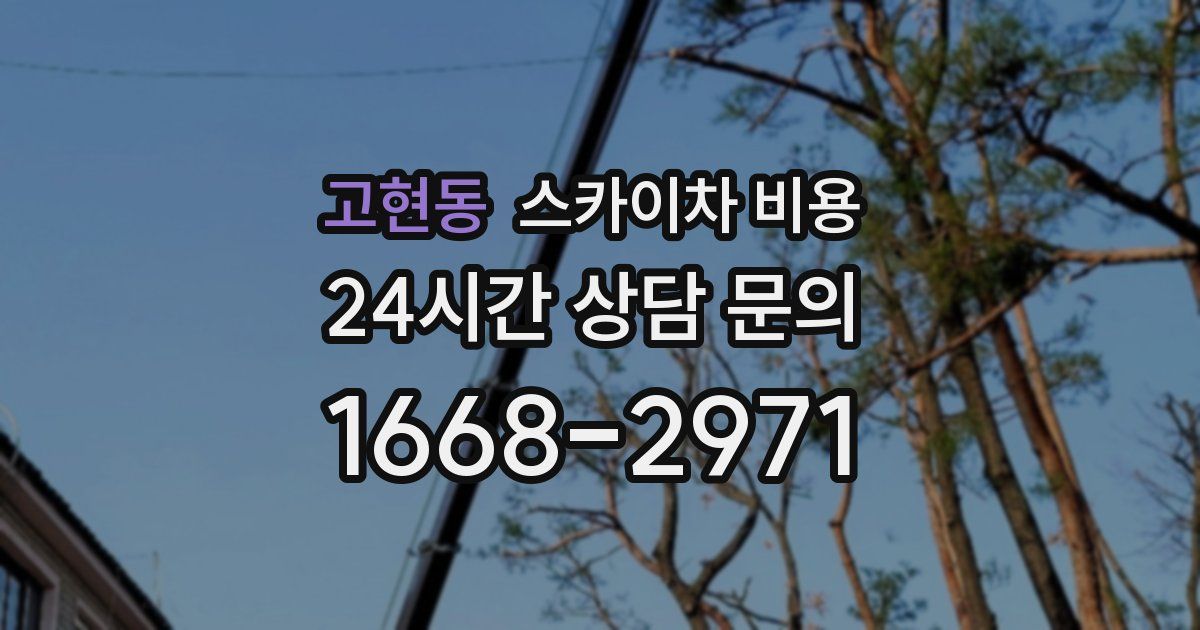 고현동 스카이차 비용