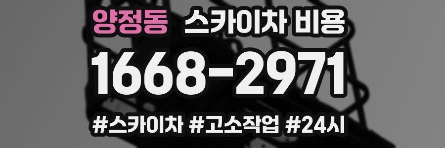 양정동 스카이차 비용