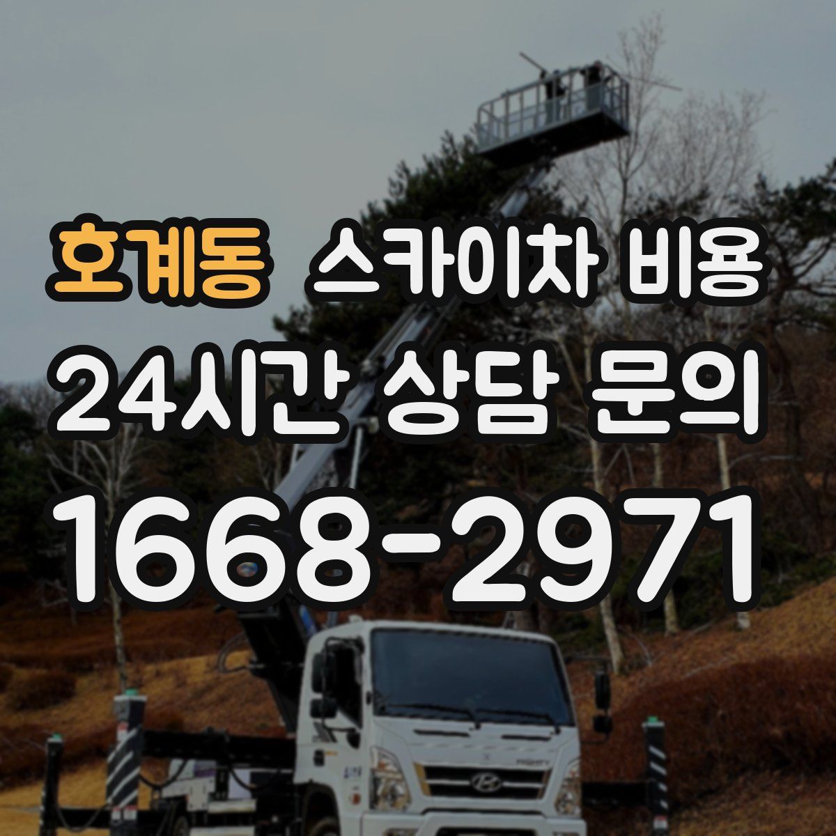 호계동 스카이차 비용