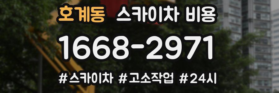 호계동 스카이차 비용