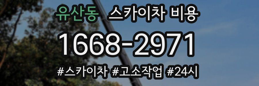 유산동 스카이차 비용