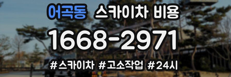 어곡동 스카이차 비용