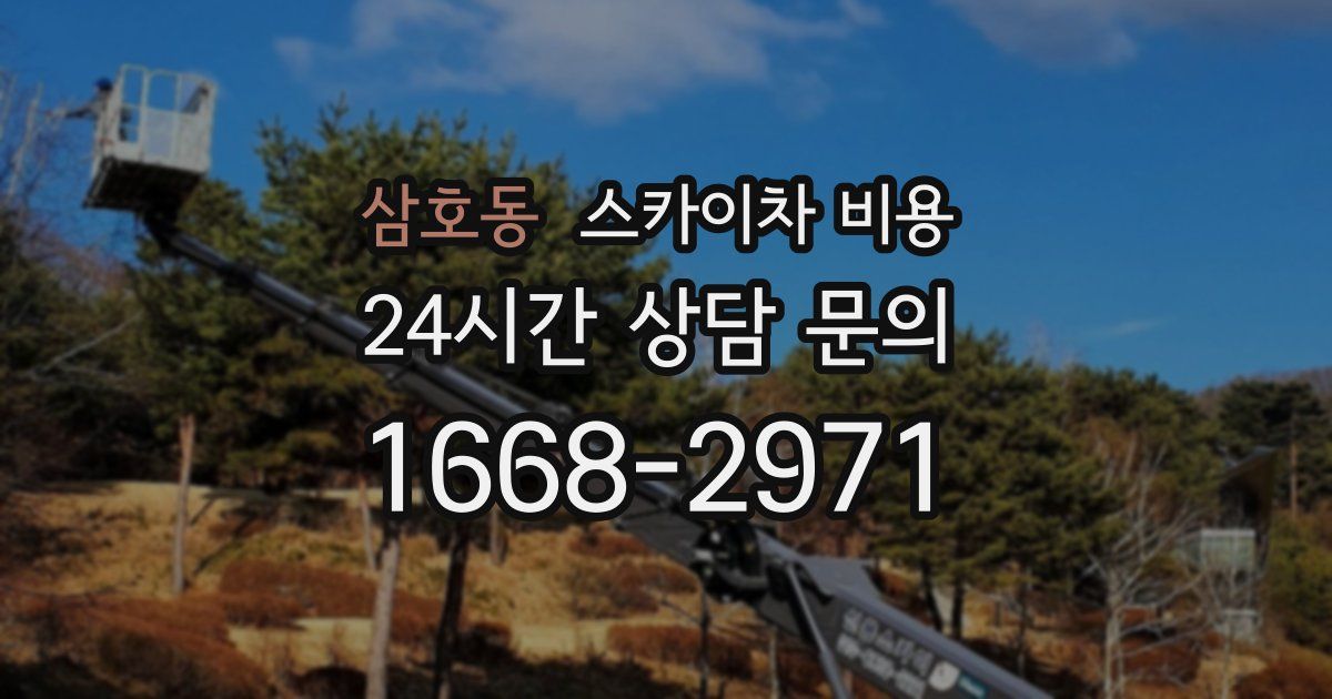 삼호동 스카이차 비용