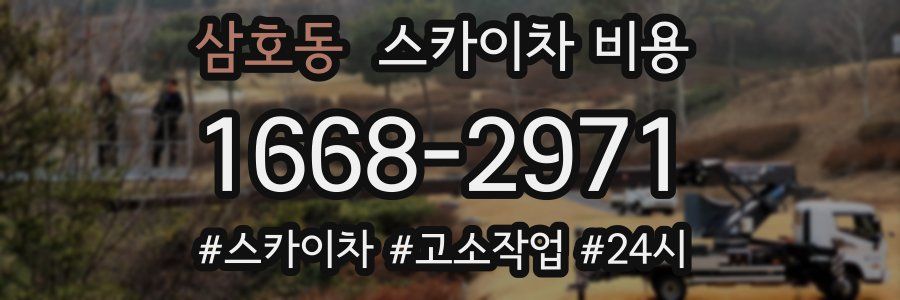 삼호동 스카이차 비용