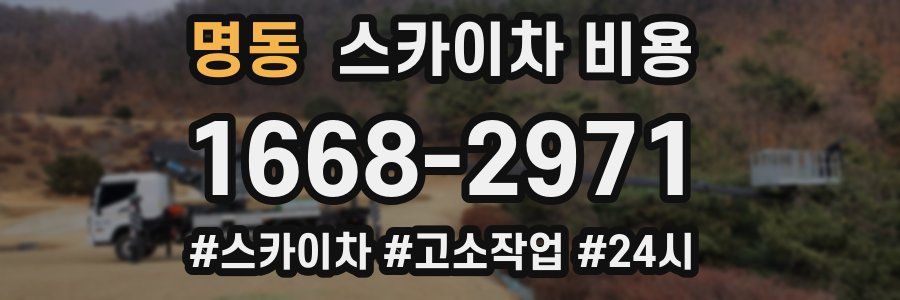 명동 스카이차 비용